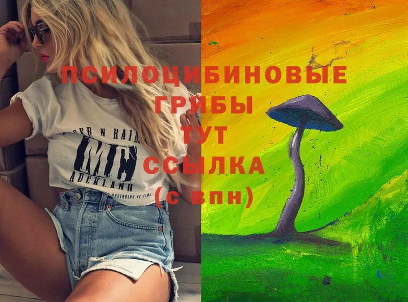 сайты даркнета формула  Мурино  Псилоцибиновые грибы Psilocybe  OMG tor 